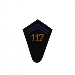 117th RAA sleeve tab