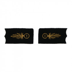 2 collar tabs with mechanically Foreign Legion embroidered speciality insignia model 1893