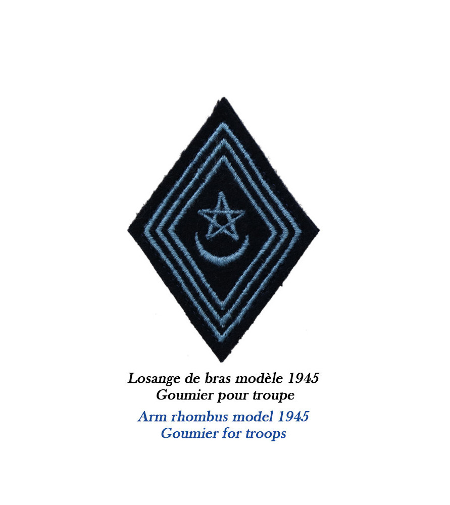 Insignes bras losanges modèle 1945 Armée Française, 19 RA Régiment d
