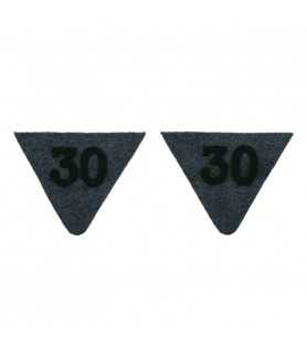 2 collar tabs for Dolman jacket model 1891in horizon blue 1 background wool