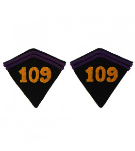 2 Air Regiment collar tabs for jacket model 1920