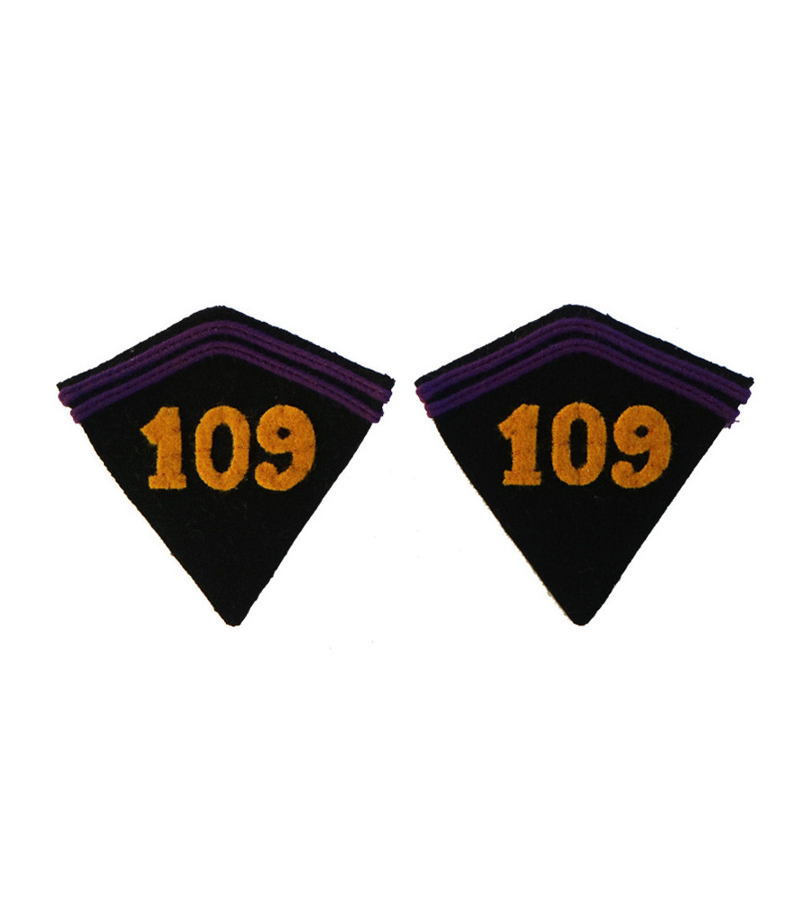 2 Air Regiment collar tabs for jacket model 1920