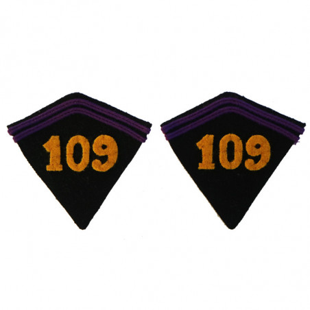 2 Air Regiment collar tabs for jacket model 1920