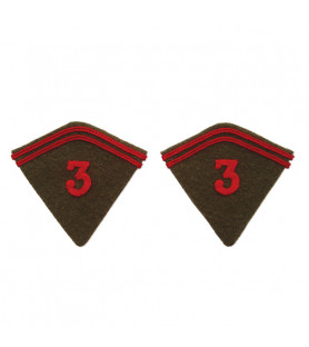 2 pattes de col pour vareuse modèle 1920 Régiment Aérien Aviation (RAA)