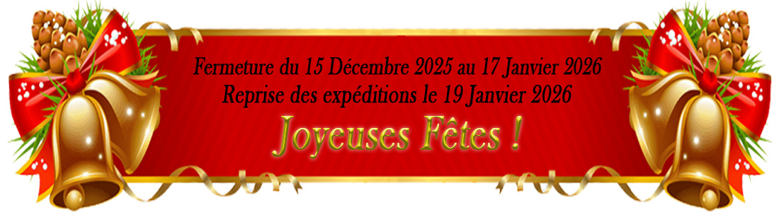 Joyeuses-fetes-2025-et-2026-francais.jpg